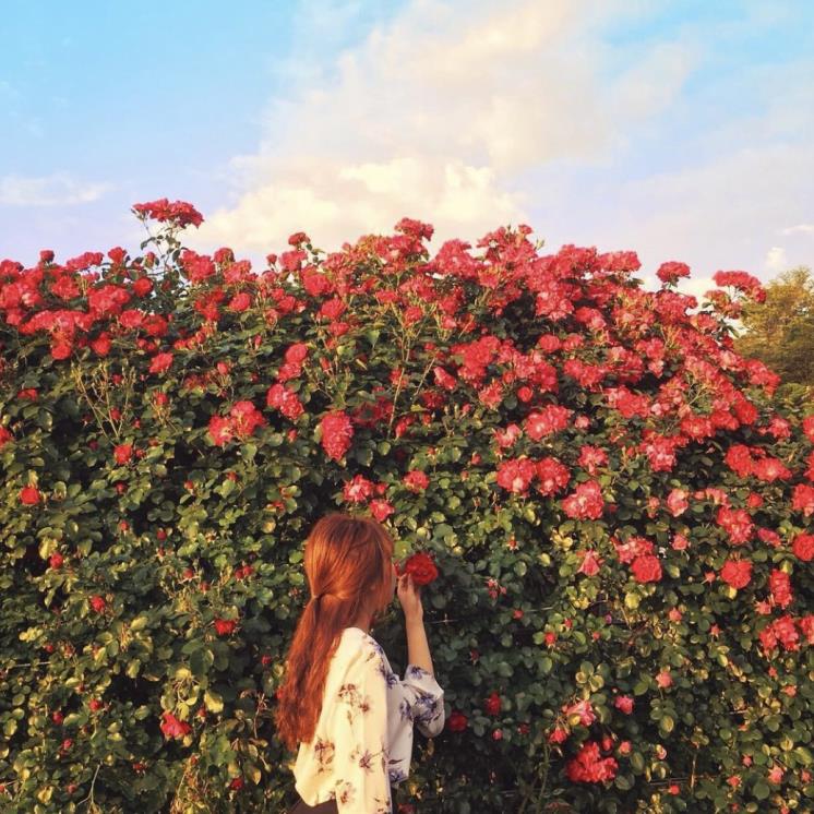 @anjieun_n