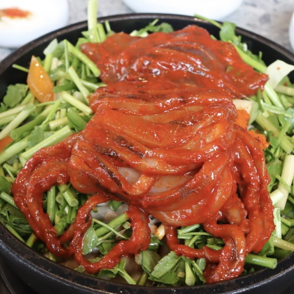 반딧불오징어