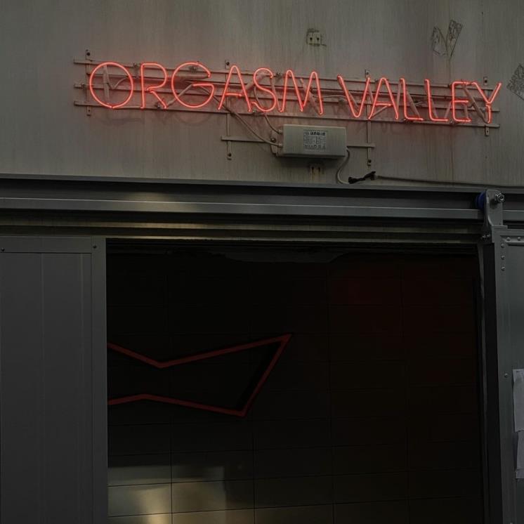 @orgasmvalley