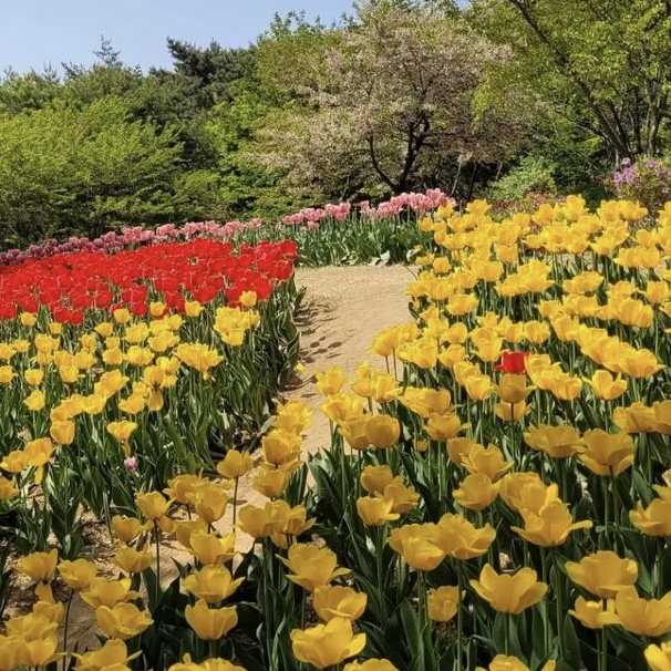 연희 숲속 쉼터 