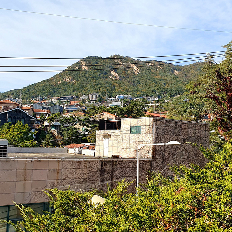 스위스