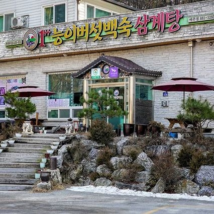 황제능이버섯백숙