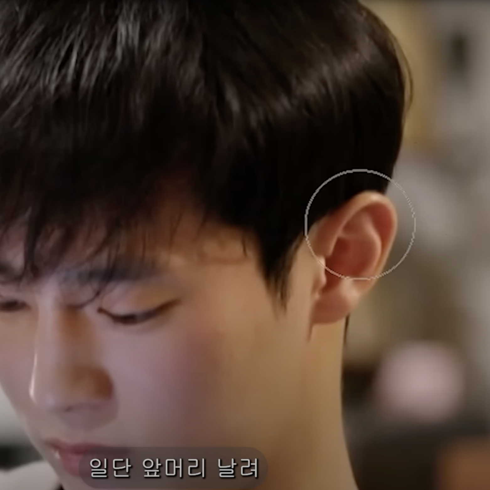 환승연애 프로시청자