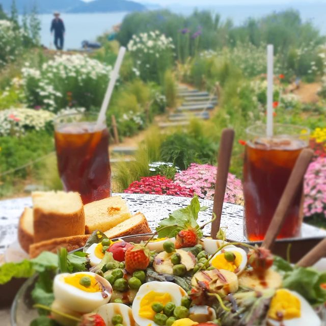 @cafe_tol