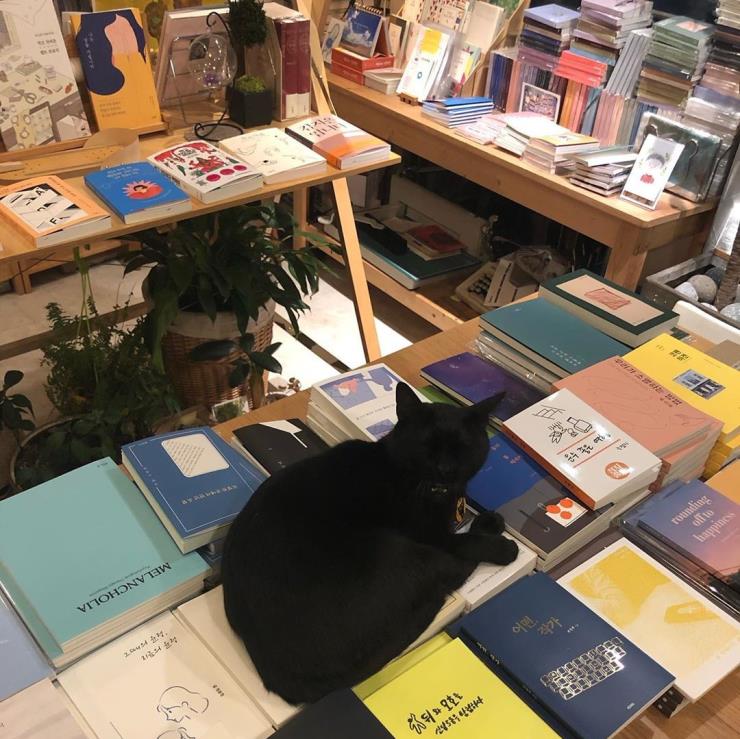 @library_of_proust