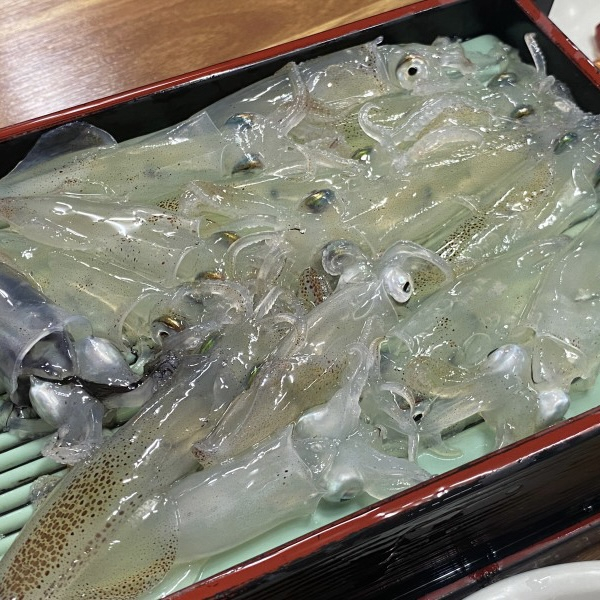대영황태세상