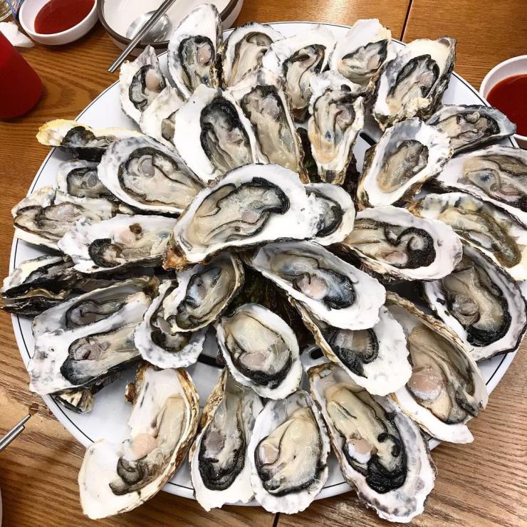 굴토리