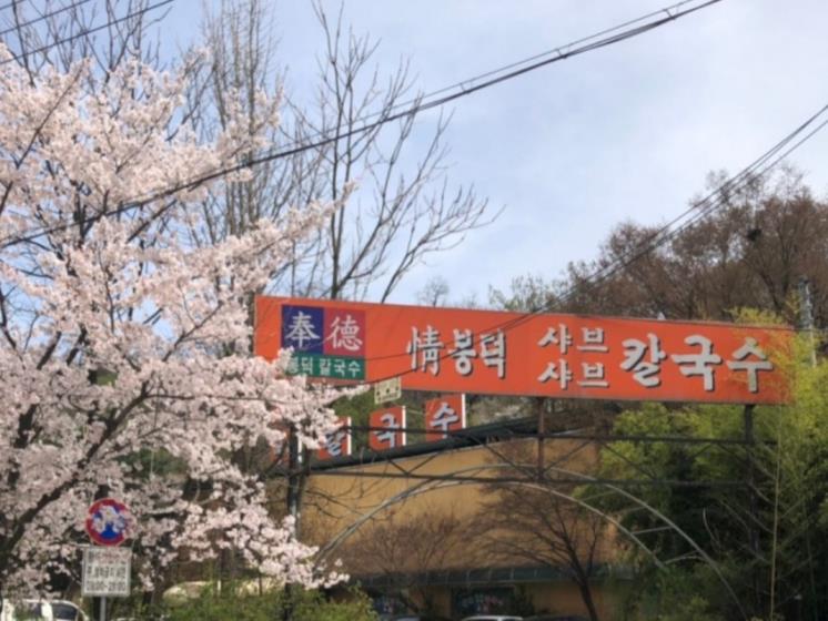봉덕칼국수