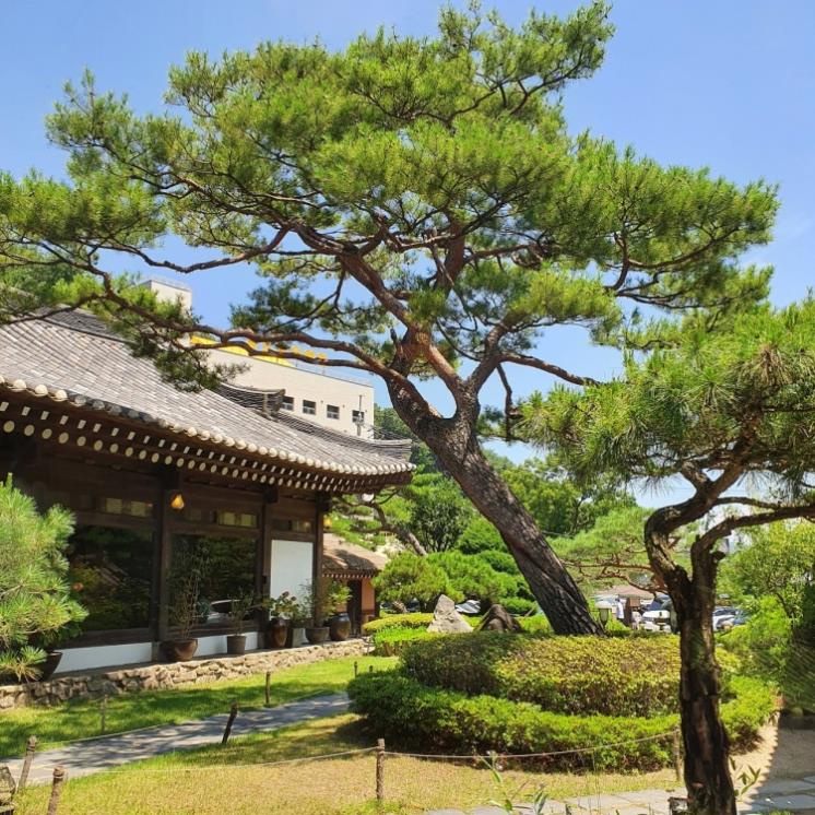 흙토담골