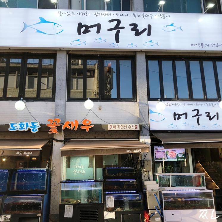 머구리