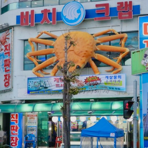 비치대게