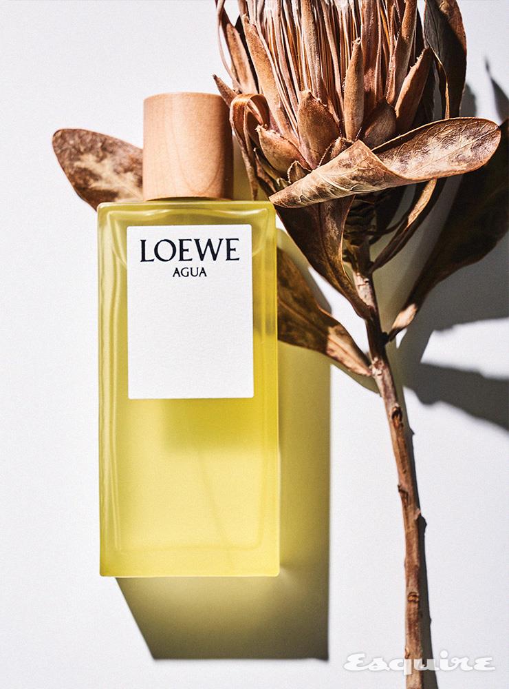 아구아 오 드 뚜왈렛 50mL/10만원 로에베 by 세포라.