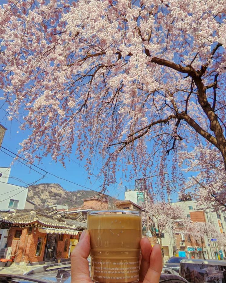 파스텔커피웍스(@pastelcoffeeworks)
