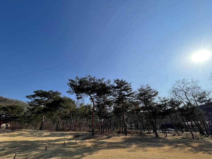 서오릉