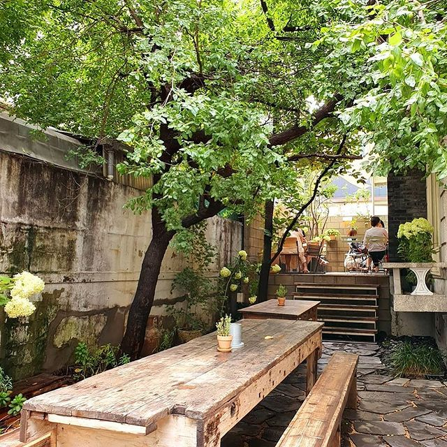 @tulear_seoul