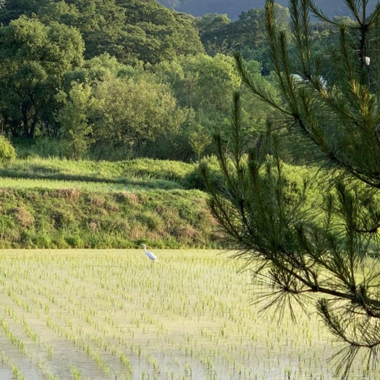 검천농원