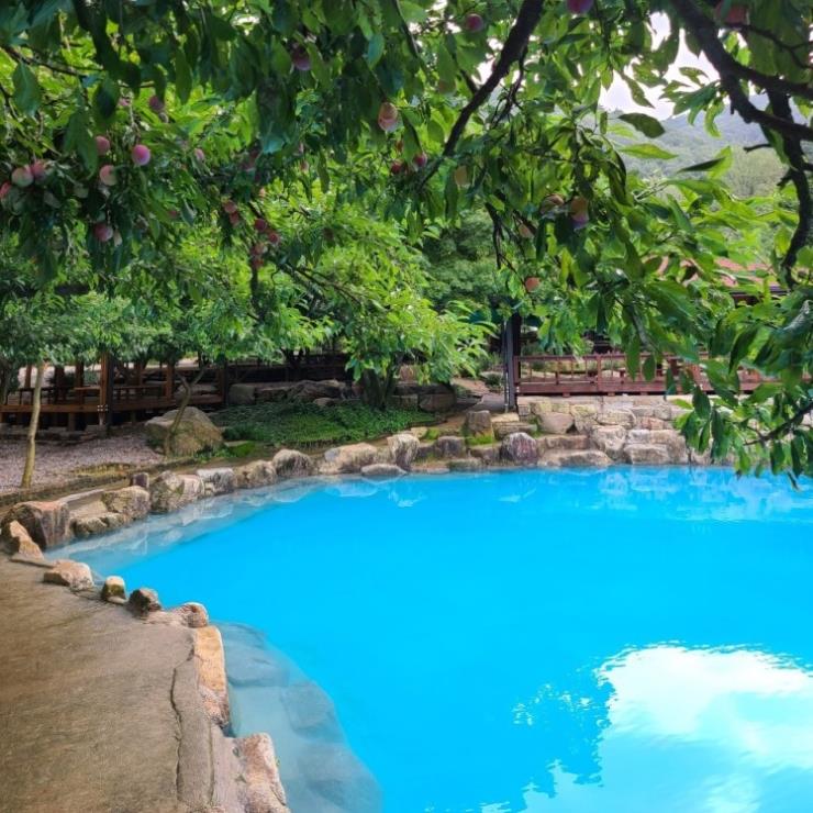 @jadoo_village