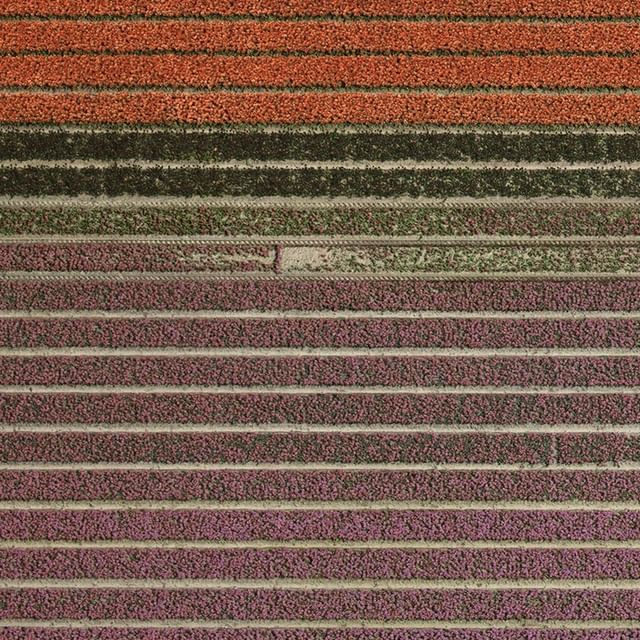 Kreuzfahrt(Cruise), 2020 ⓒAndreas Gursky, Courtesy of Sprueth Magers