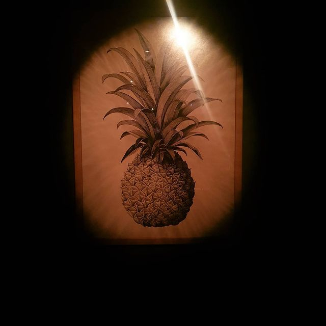 인스타그램 @pineandco_seoul