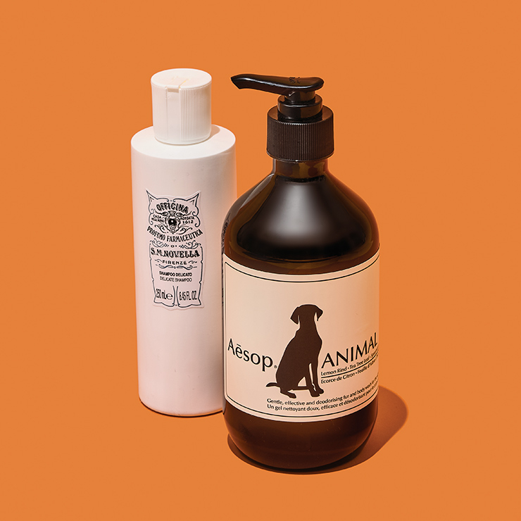 애니멀 샴푸 250mL/4만원대 산타 마리아 노벨라. 애니멀 샴푸 500mL/5만원 이솝.