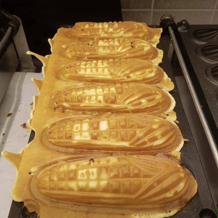 @solfood77