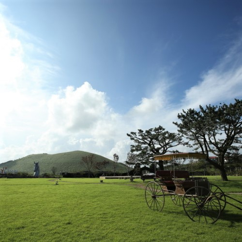 @heyyo_farm_jeju