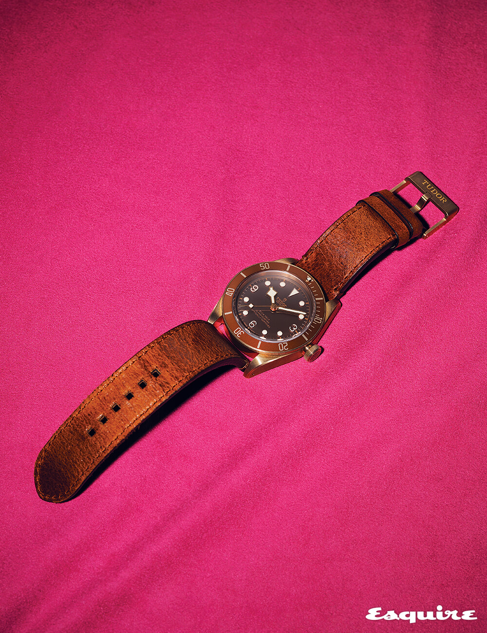 블랙 베이 브론즈 500만원대 튜더.