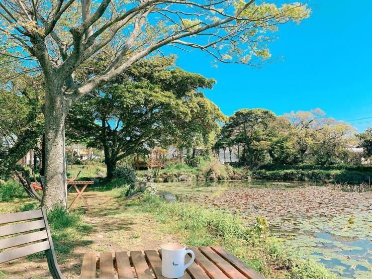 36.5도여름 남쪽점 @365csummer_in_jeju