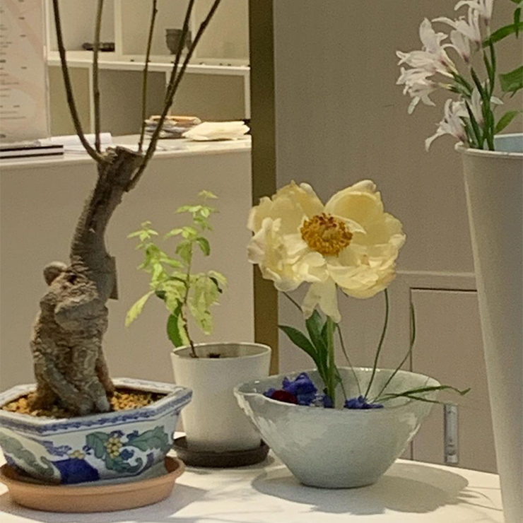 부쉬티룸(@bushtearoom)