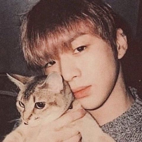 @daniel.k.here