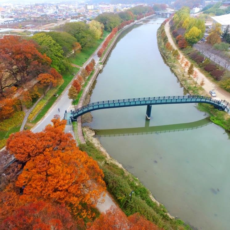 담양군 제공