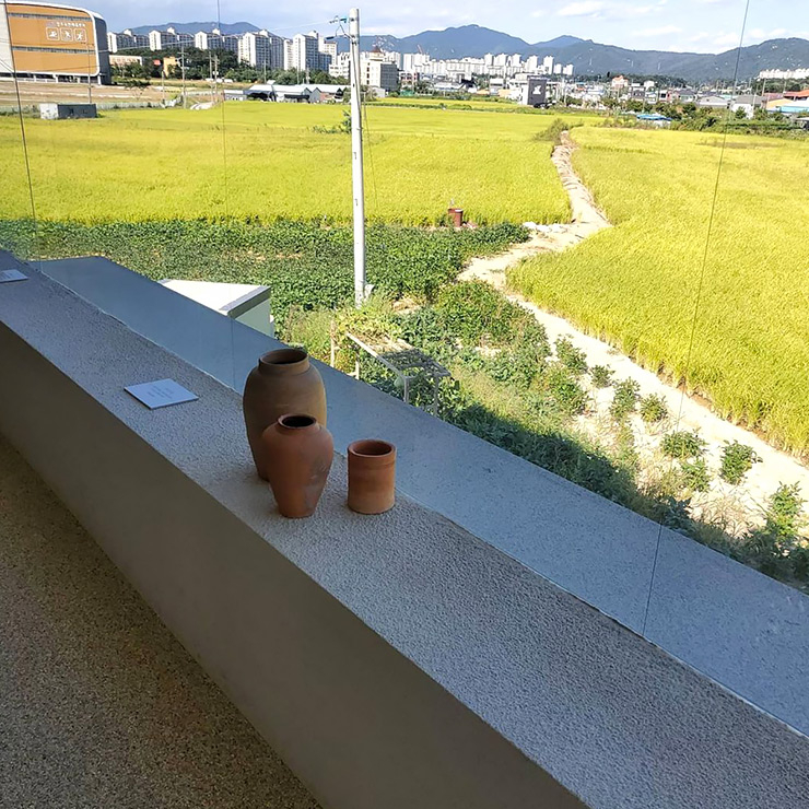 로슈아