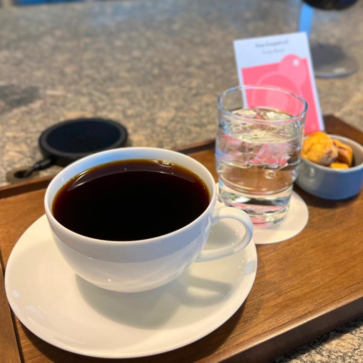 맥심플랜트