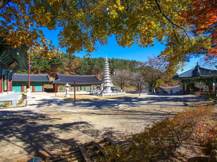 ⓒ고성군 공식블로그