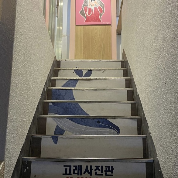 고래 사진관