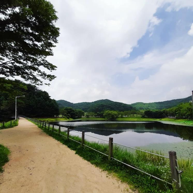 상단산성 @server.observer