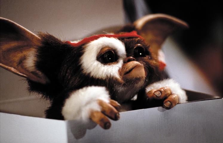 LOS ANGELES, CA - DECEMBER 04: Grogu on display at the Sideshow Collectibles Booth on Day Two of 2021 Los Angeles Comic Con held at Los Angeles Convention Center on December 4, 2021 in Los Angeles, California. (Photo by Jody Cortes/Getty Images)