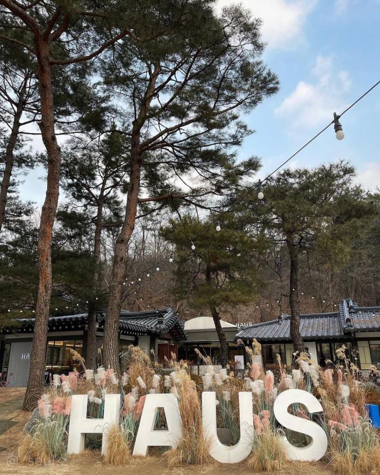 하우스 베이커리 @haus_bakery_moonhori