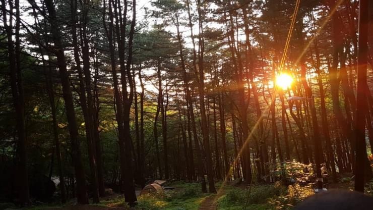 축령산 자연휴양림