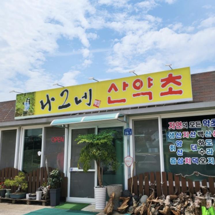 blog @hamongchacha