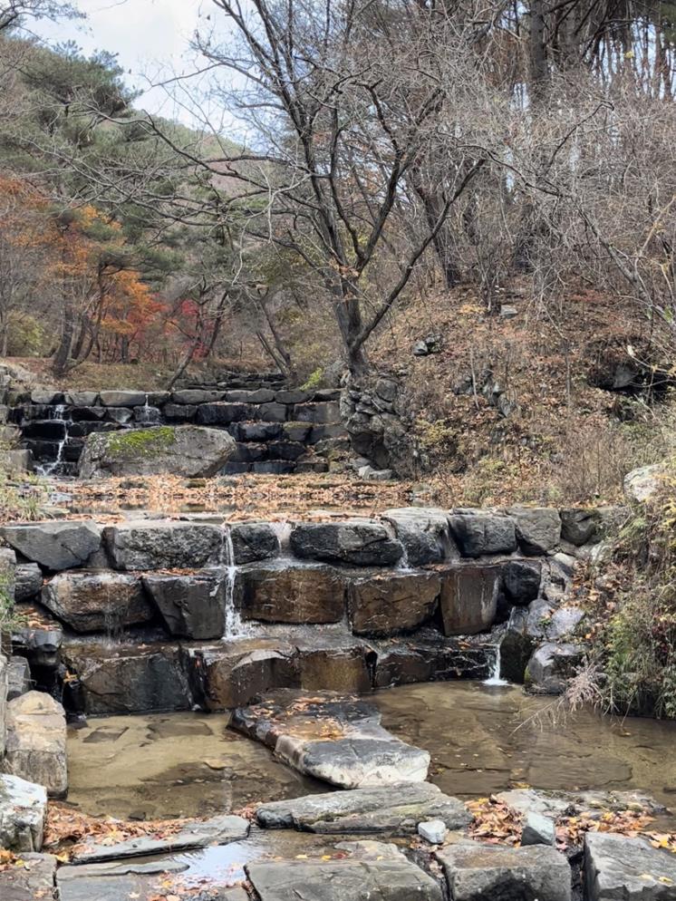 오도산 치유의 숲