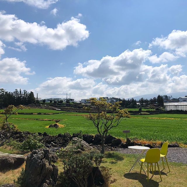 @enough.jeju