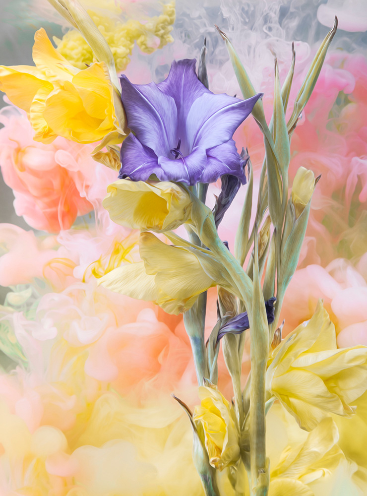 Nocturnal Visions: Oxytocin, 2018, Javiera Estrada