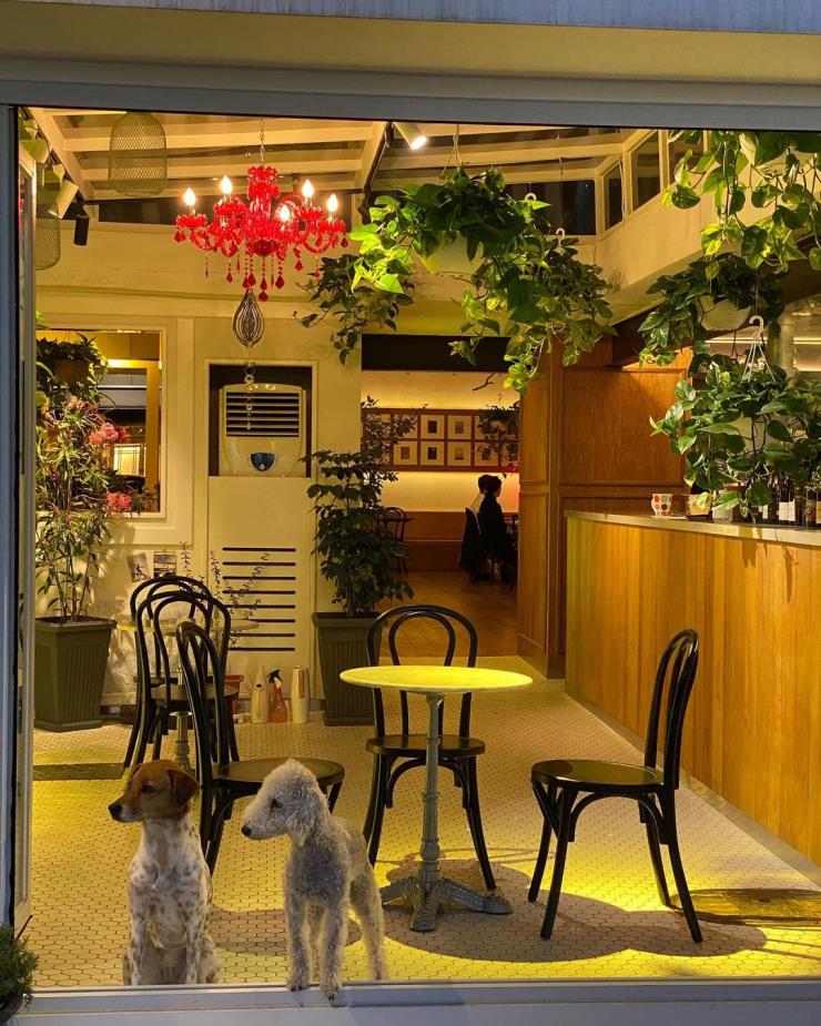 @bistro_tonton_kutec