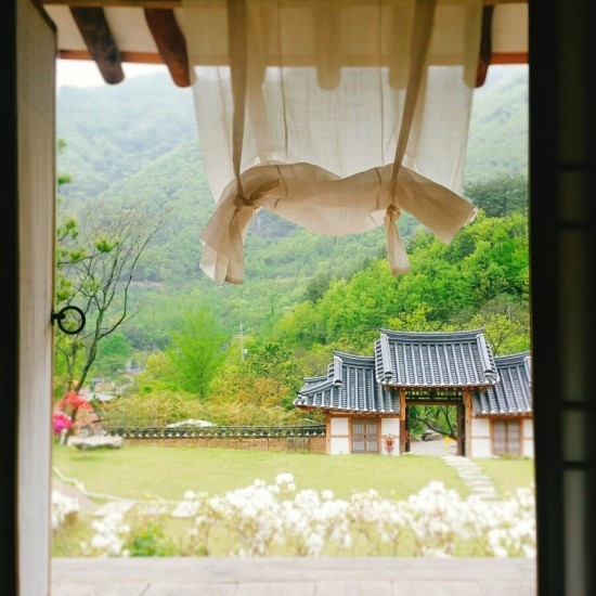 두베카페