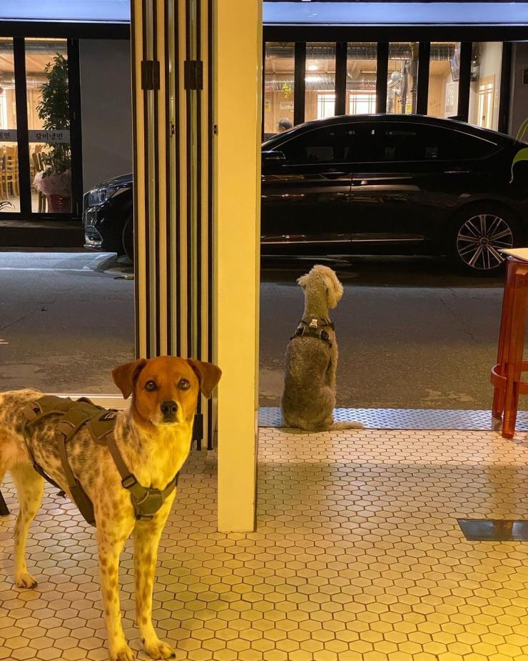 @bistro_tonton_kutec