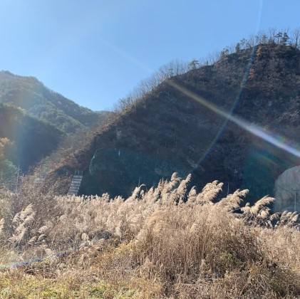 보보스캇