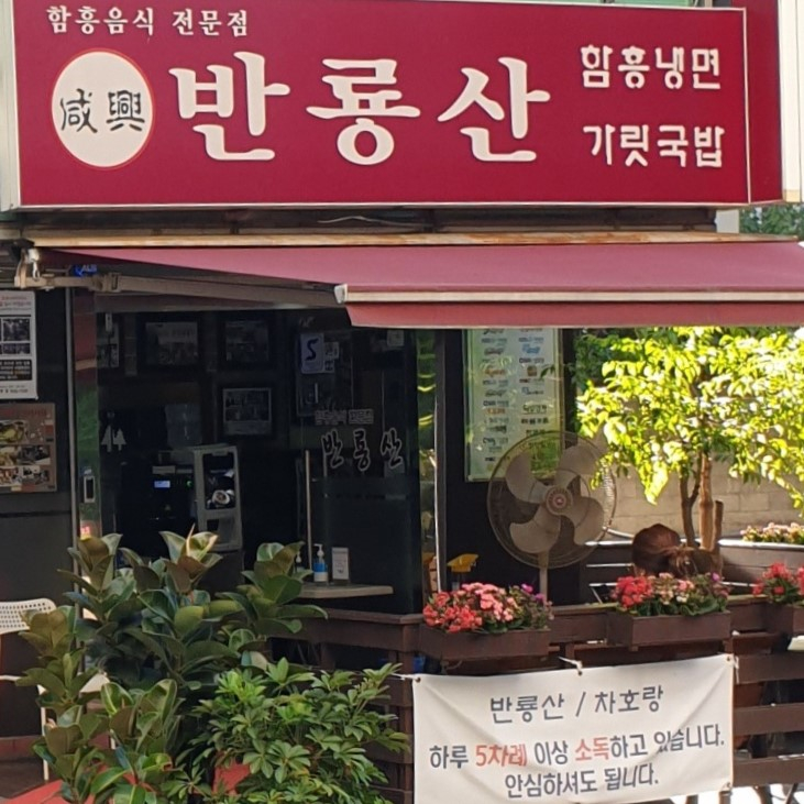 반룡산