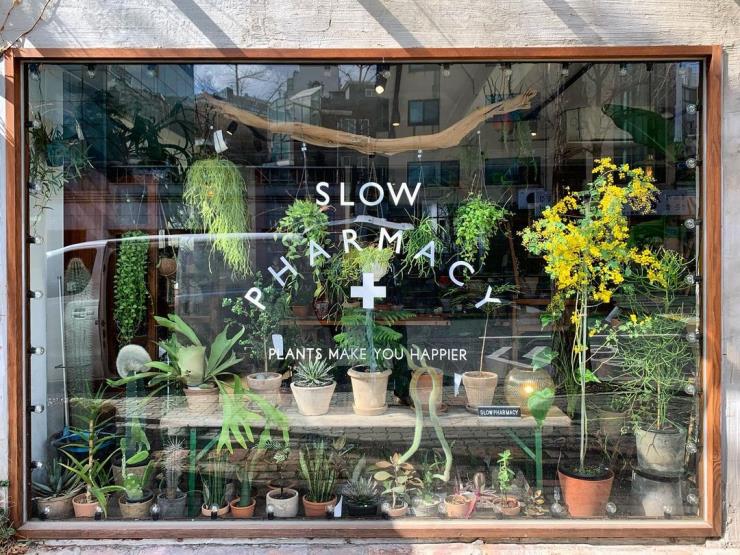 @slow_pharmacy 