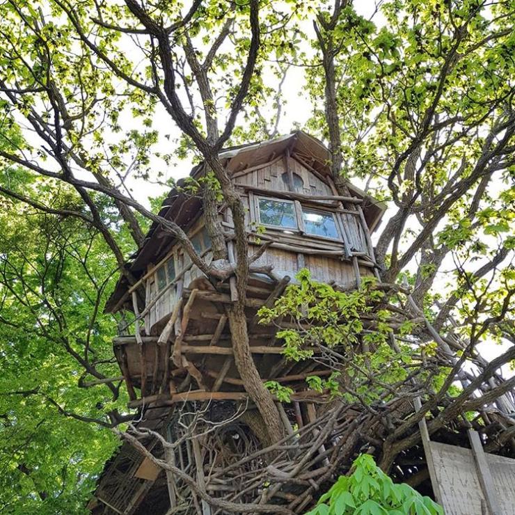 @mizuno_tree_house